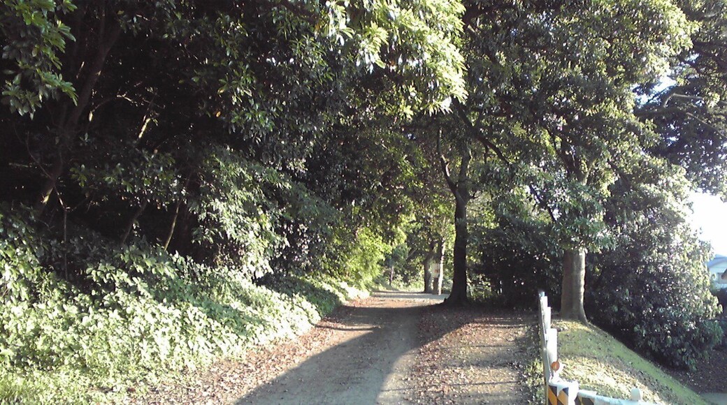 Near Sodegaura Public Library