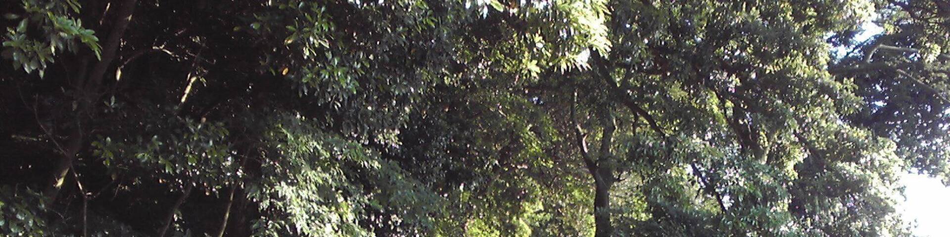 Near Sodegaura Public Library