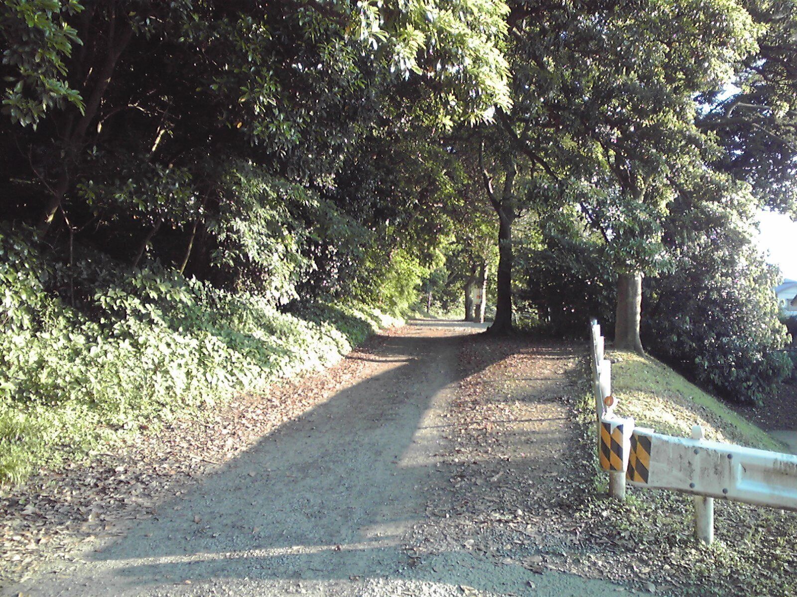 A gravel path surrounded by dense trees.