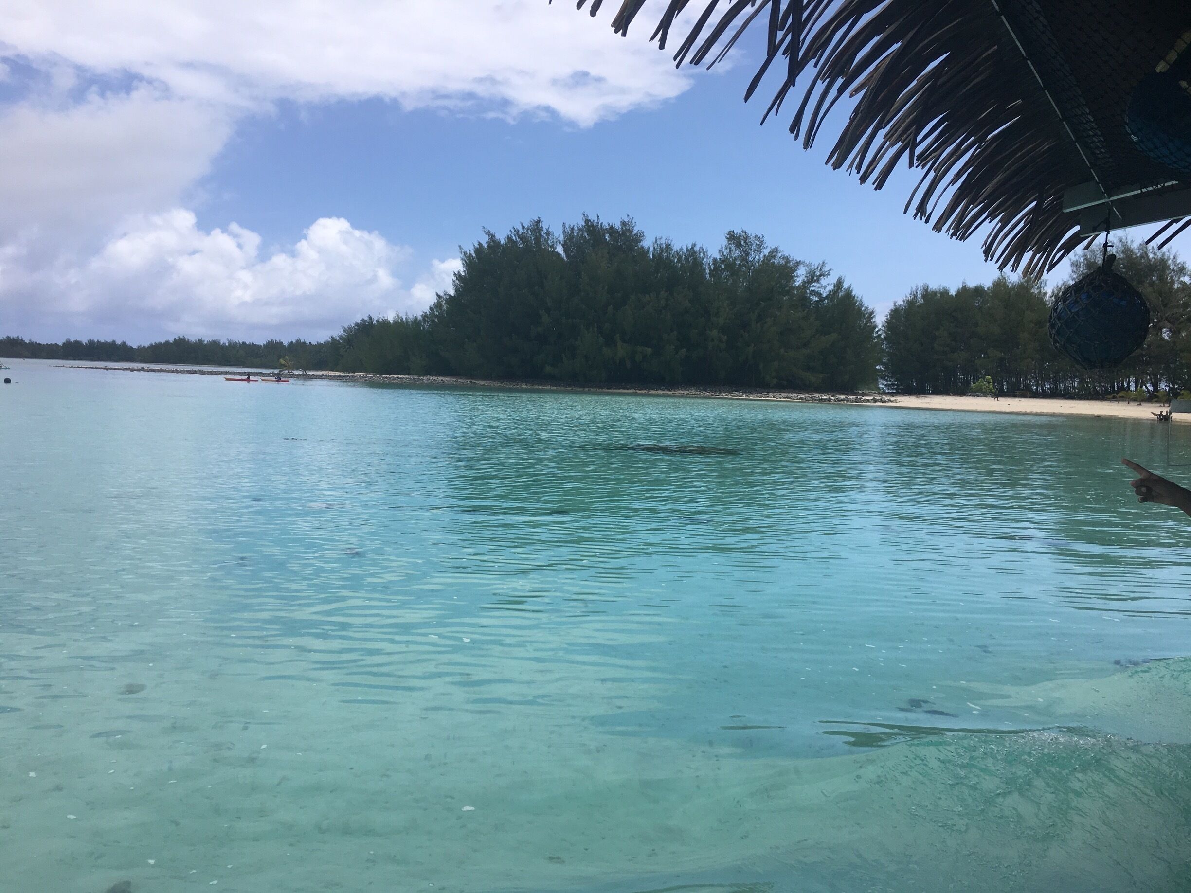 Fantastic day of fun and adventure, well worth the tour fees.  #OrbitzTravel
