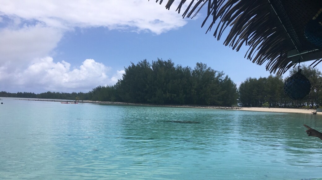 Fantastic day of fun and adventure, well worth the tour fees. #OrbitzTravel