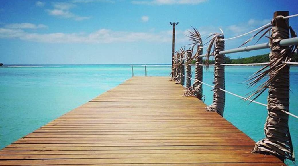 The best food in Rarotonga
The FOB (Fresh Off Boat) sandwich which varies each day according to the days catch is the way to go.
Taken with Samsung Galaxy Note 4
#colorful