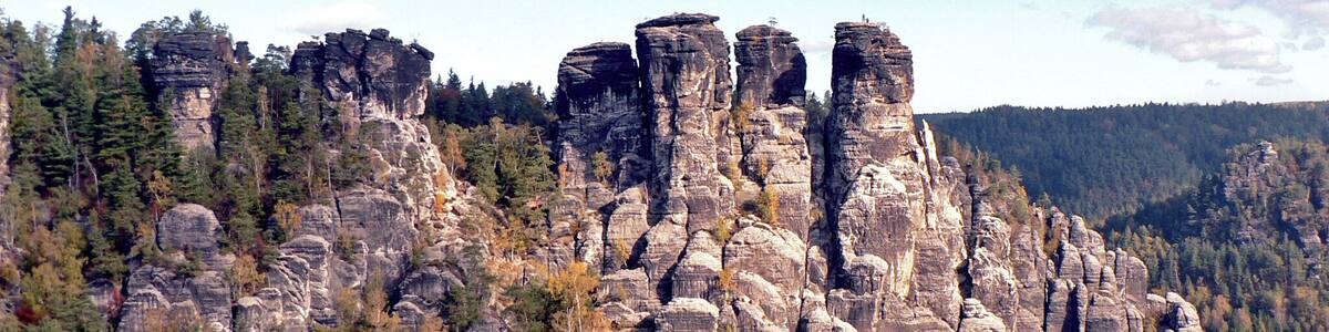 Gans im Elbsandsteingebirge