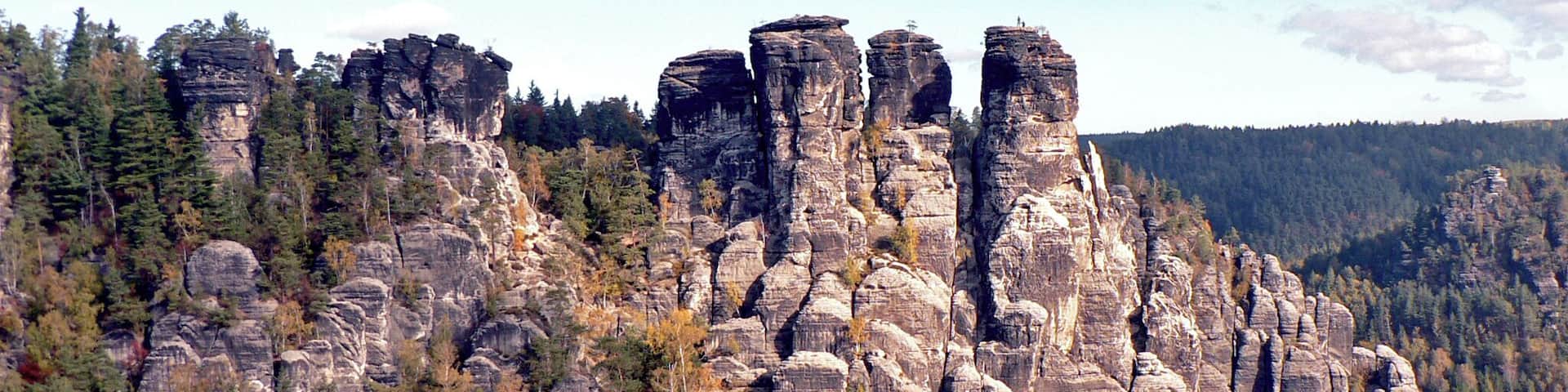 Gans im Elbsandsteingebirge