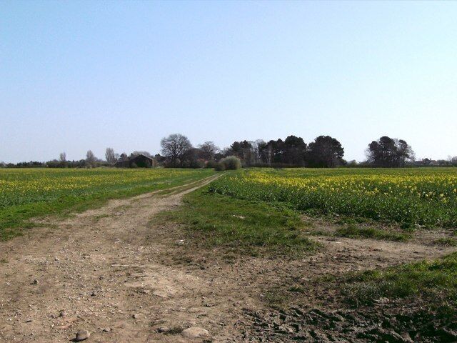 Bridleway Junction (1) From the same location as 392749 this time looking east. Visible within the trees are the buildings at the edge of Bradley.