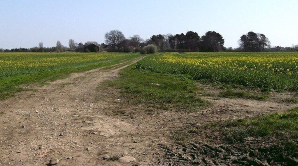 Bridleway Junction (1) From the same location as 392749 this time looking east. Visible within the trees are the buildings at the edge of Bradley.