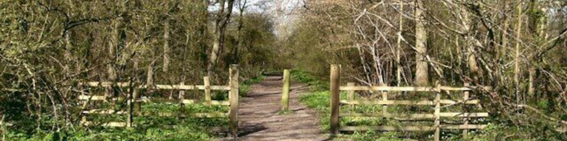 Bradley Woods Looking north west from the car park and children's play area roughly in the centre of the wood. Bradley Wood and the nearby Dixon Wood are ancient, being mentioned in the Domesday Book of 1086, and called "broad wood". The importance of this was recognised by the local council in 1998, and was declared a local Nature Reserve. More information can be found on: http://www.nelincs.gov.uk/leisure/parks/bradley-dixon.htm
