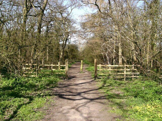 A narrow dirt path flanked by wooden fences and trees.