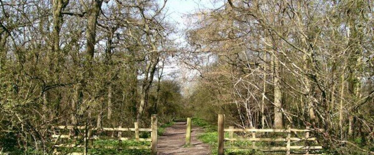 A narrow dirt path flanked by wooden fences and trees.