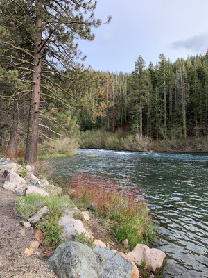 The view of Truckee river on a sunny spring day in North Lake Tahoe, California. Mountain river in Sierra Nevada. West coast vacation destinations. California roadtrip.