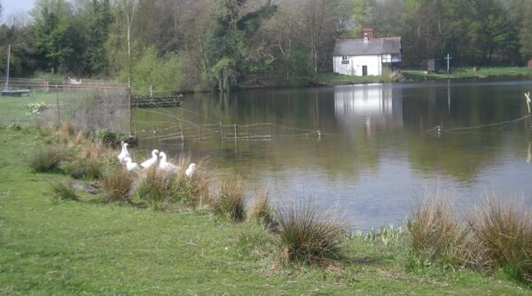 A small corner of Cole Mere