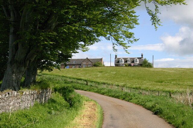 A rural road curving through a grassy field with a large tree on the left and a house in the background.