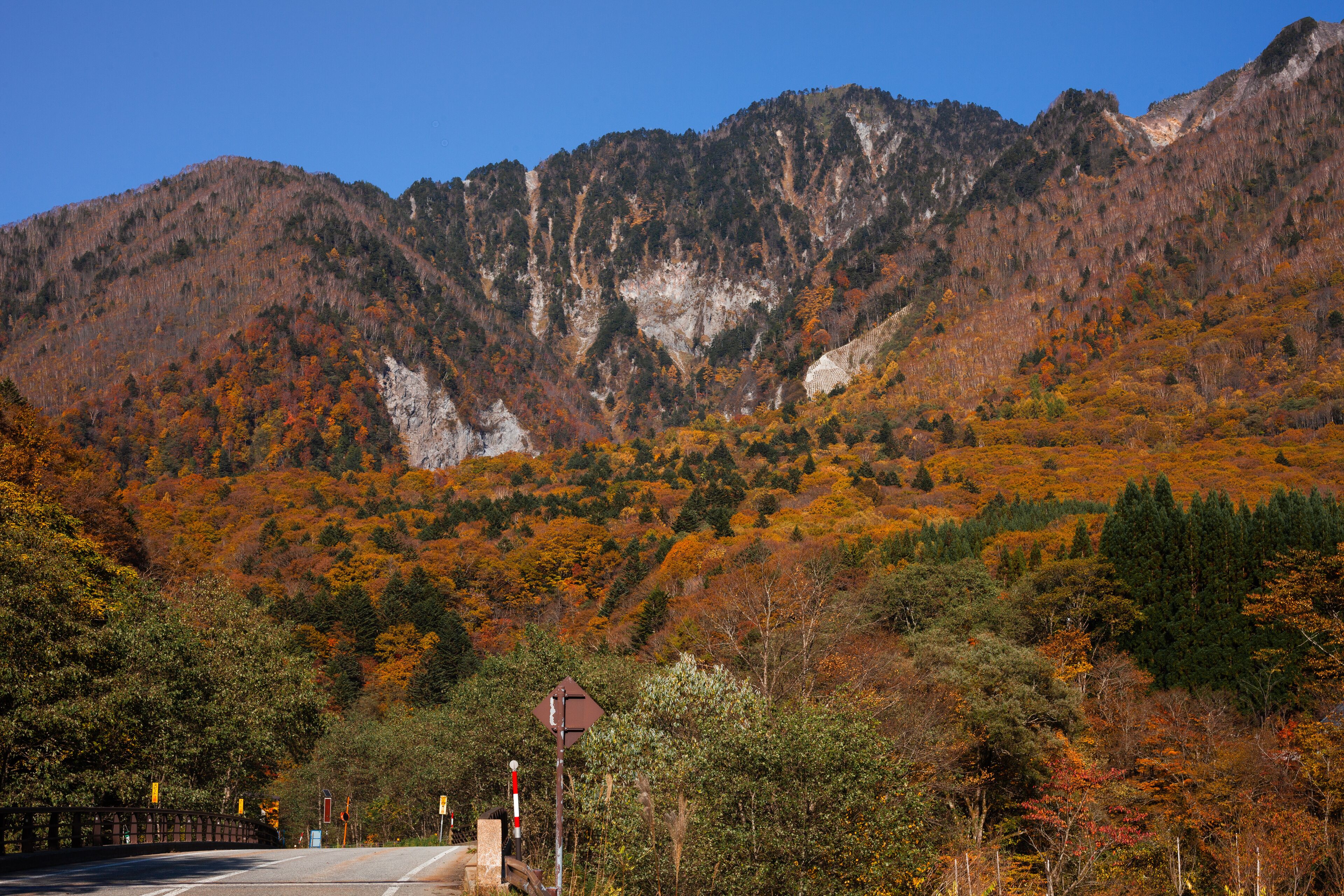 A mountain road with autumn foliage, a bridge, and a mountain backdrop.