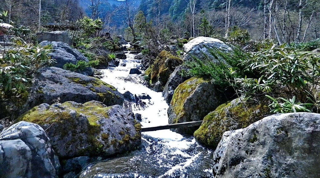 Hirayu Otaki Park 平湯大滝公園