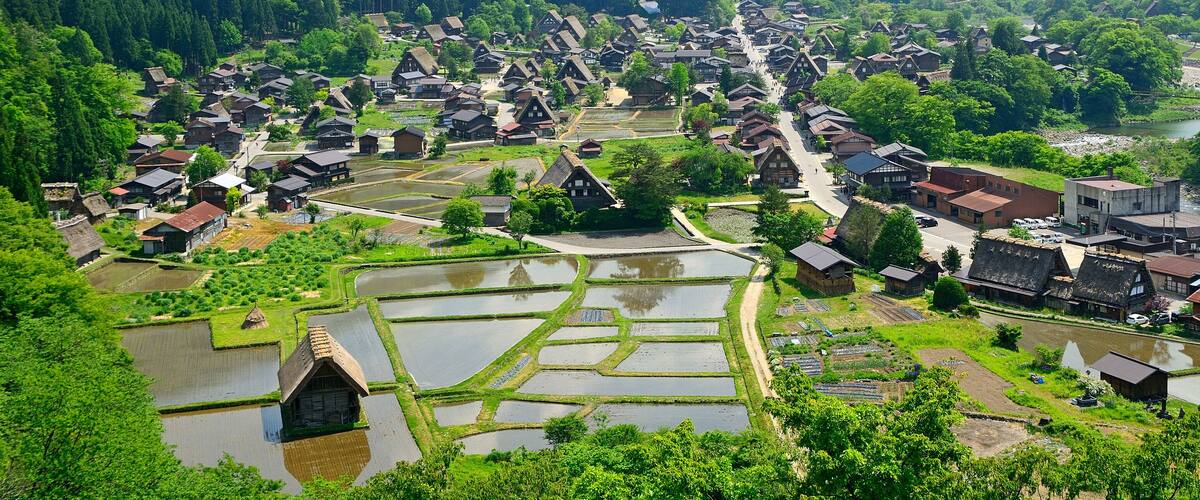 A village with traditional houses and rice paddies.