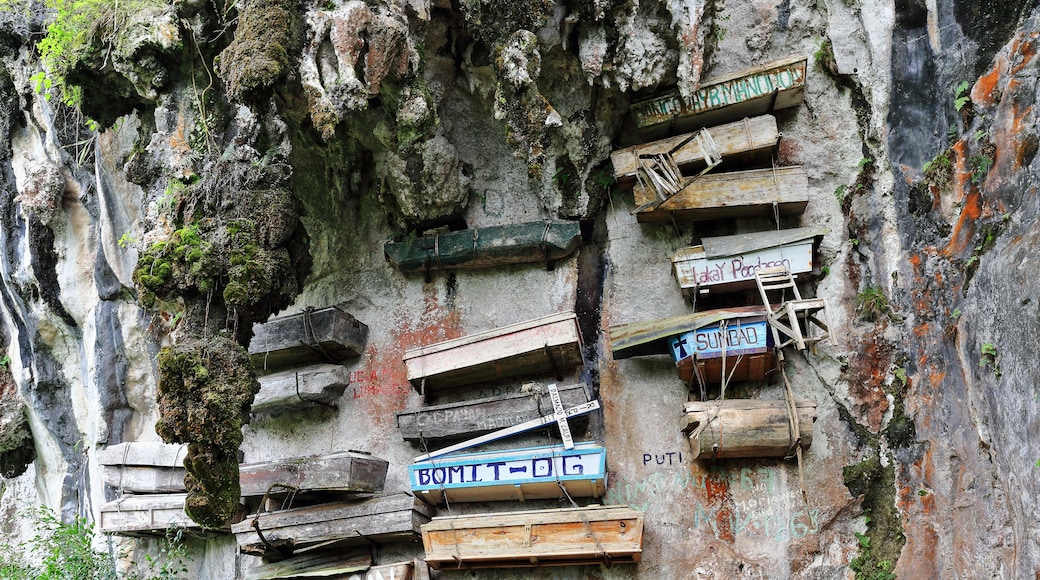 Wooden signs attached to a rocky cliff.