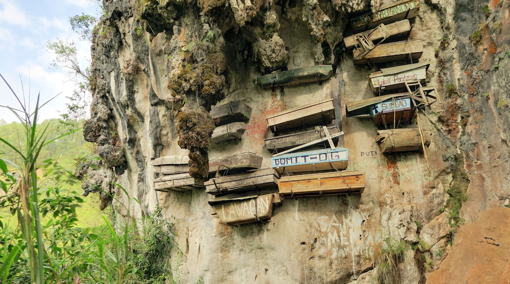 A cliff with wooden boxes labeled with names, surrounded by greenery.