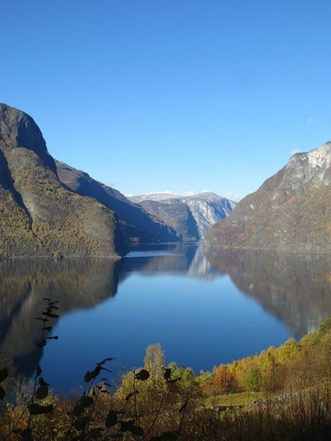 Caption---- Stunning Fjordland