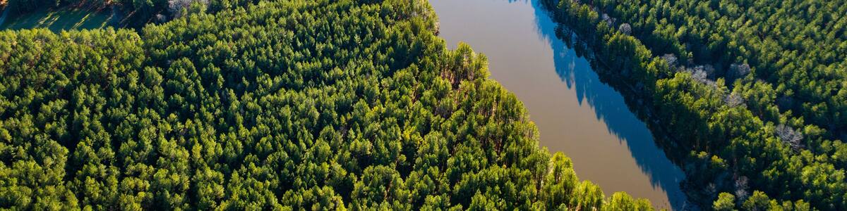 Beautiful shot of a lake in the mountains of South Carolina