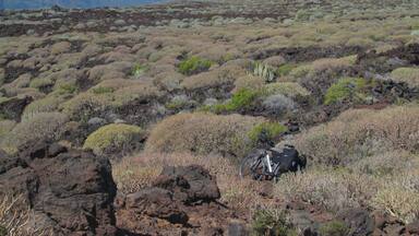 A rugged landscape with sparse vegetation, rocky terrain, and distant snow-capped mountains.
