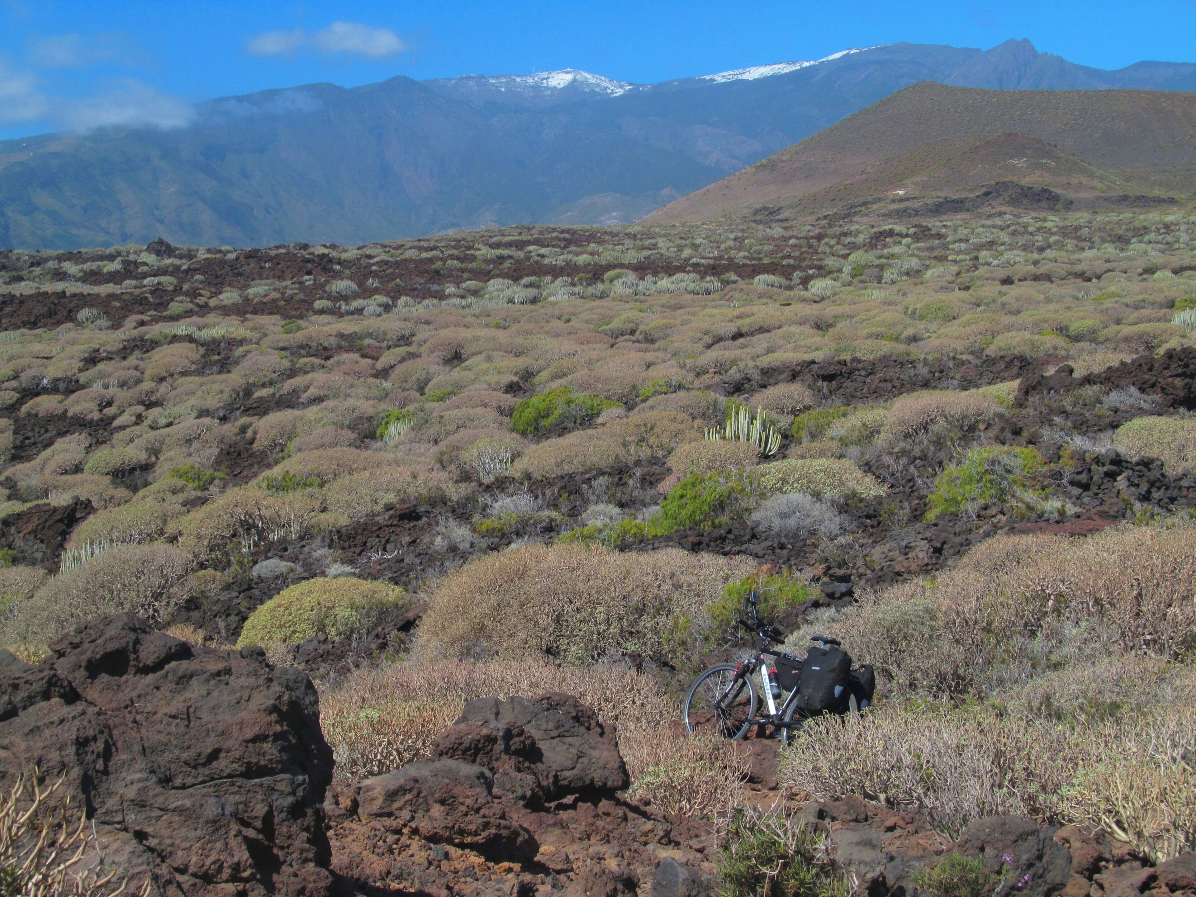 A rugged landscape with sparse vegetation, rocky terrain, and distant snow-capped mountains.