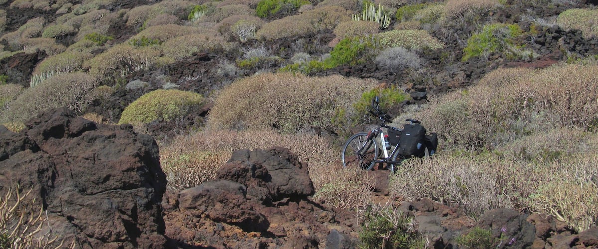 A rugged landscape with sparse vegetation, rocky terrain, and distant snow-capped mountains.