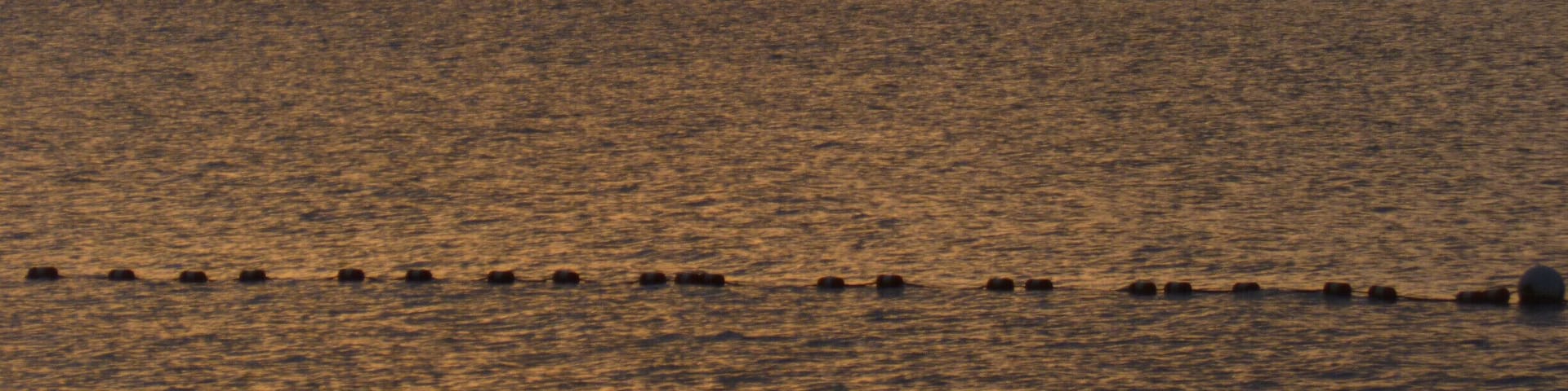 A sunset over a calm sea with a row of buoys in the foreground.