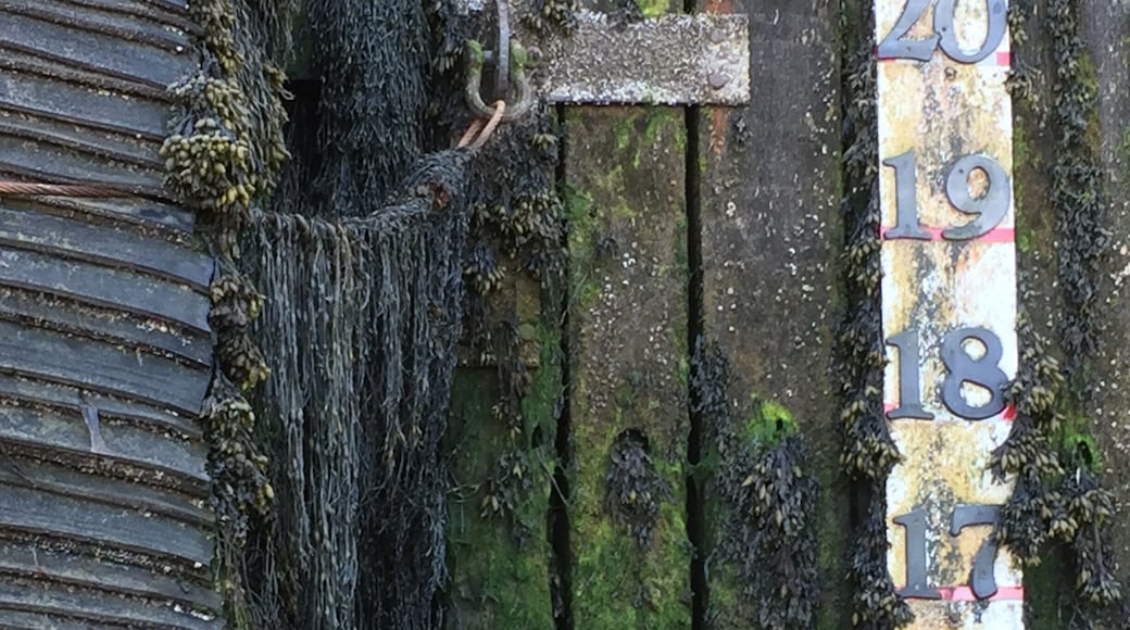 Tide gauge at Deer Island, New Brunswick, Canada as you get off the ferry from the mainland. Classic, beautiful New Brunswick.