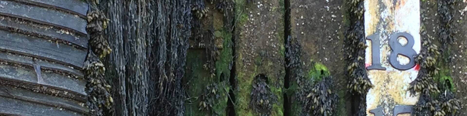 Tide gauge at Deer Island, New Brunswick, Canada as you get off the ferry from the mainland. Classic, beautiful New Brunswick.