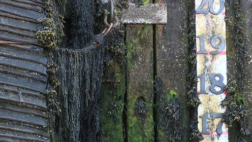 ستيوارت تاون