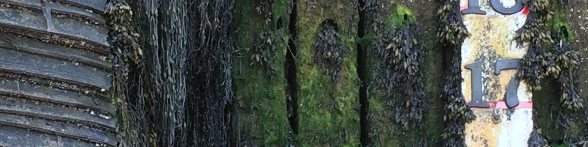Tide gauge at Deer Island, New Brunswick, Canada as you get off the ferry from the mainland. Classic, beautiful New Brunswick.