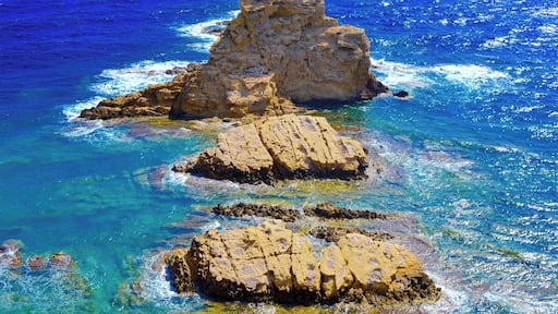 Els Pallers (Jรกvea) Cerca del Cap Prim y del Cabo San Martรญn se encuentran estos islotes. Los fondos marinos son ideales para la prรกctica del submarinismo.