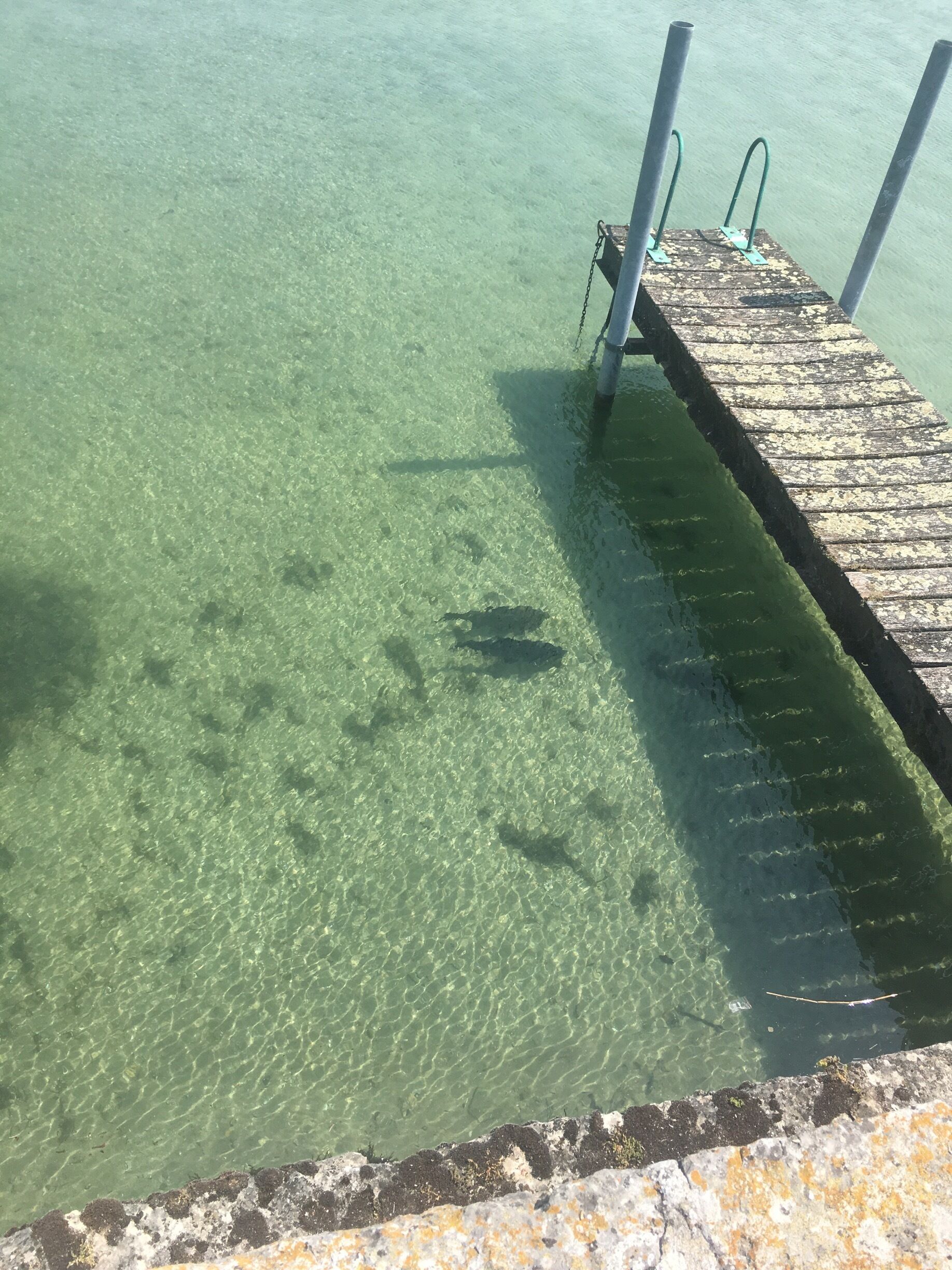A clear water body with a wooden dock extending into it.