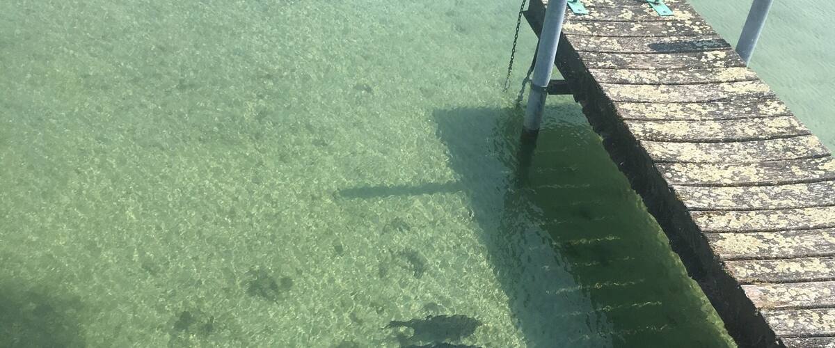 A clear water body with a wooden dock extending into it.