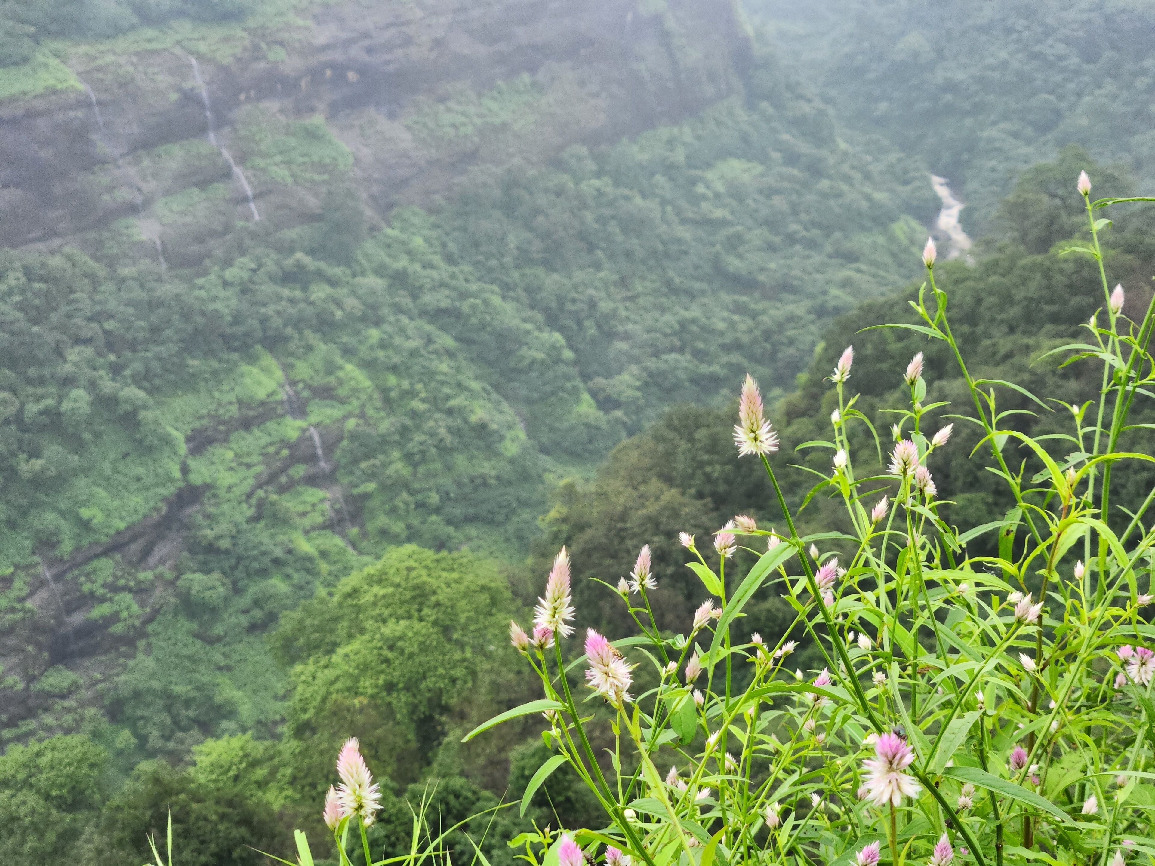 A lush green landscape with a river winding through a forested valley.