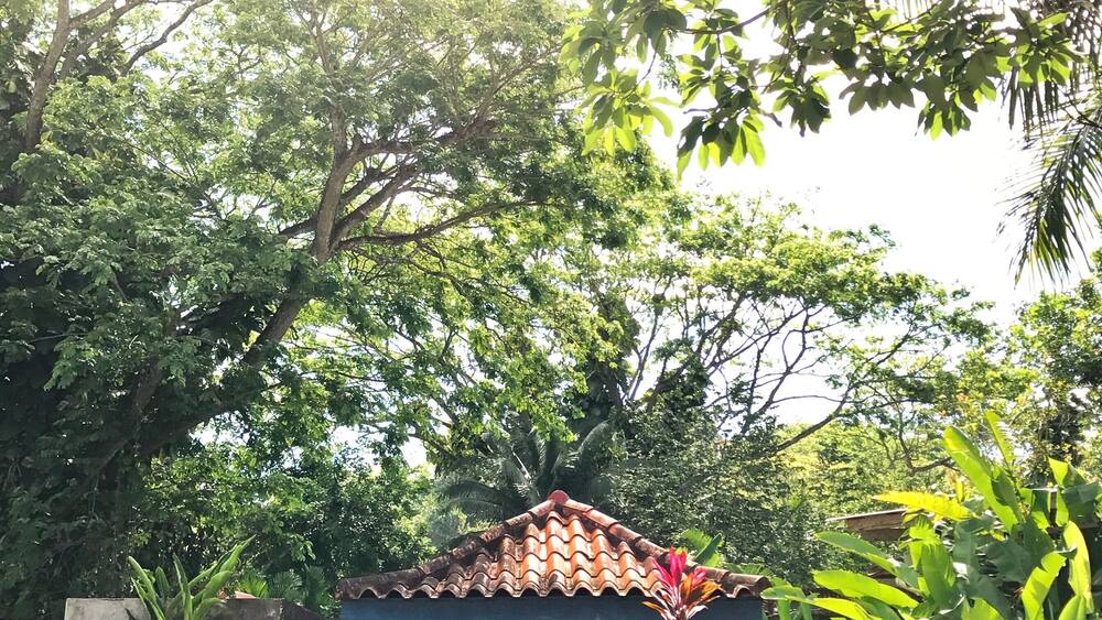 One of the best experiences that I had in Jamaica was visiting the Rastafarian Village and speaking with its residents. They have such beautiful outlooks on life and it was truly inspiring! This is something you must do if you are visiting the Montego Bay Area!