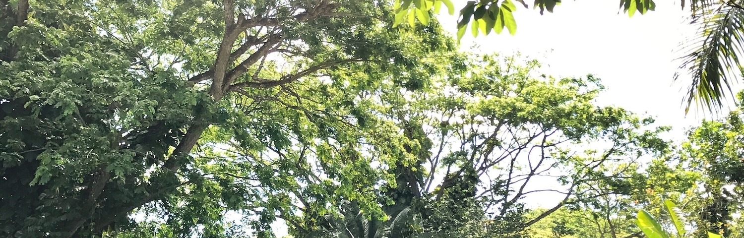 One of the best experiences that I had in Jamaica was visiting the Rastafarian Village and speaking with its residents. They have such beautiful outlooks on life and it was truly inspiring! This is something you must do if you are visiting the Montego Bay Area!