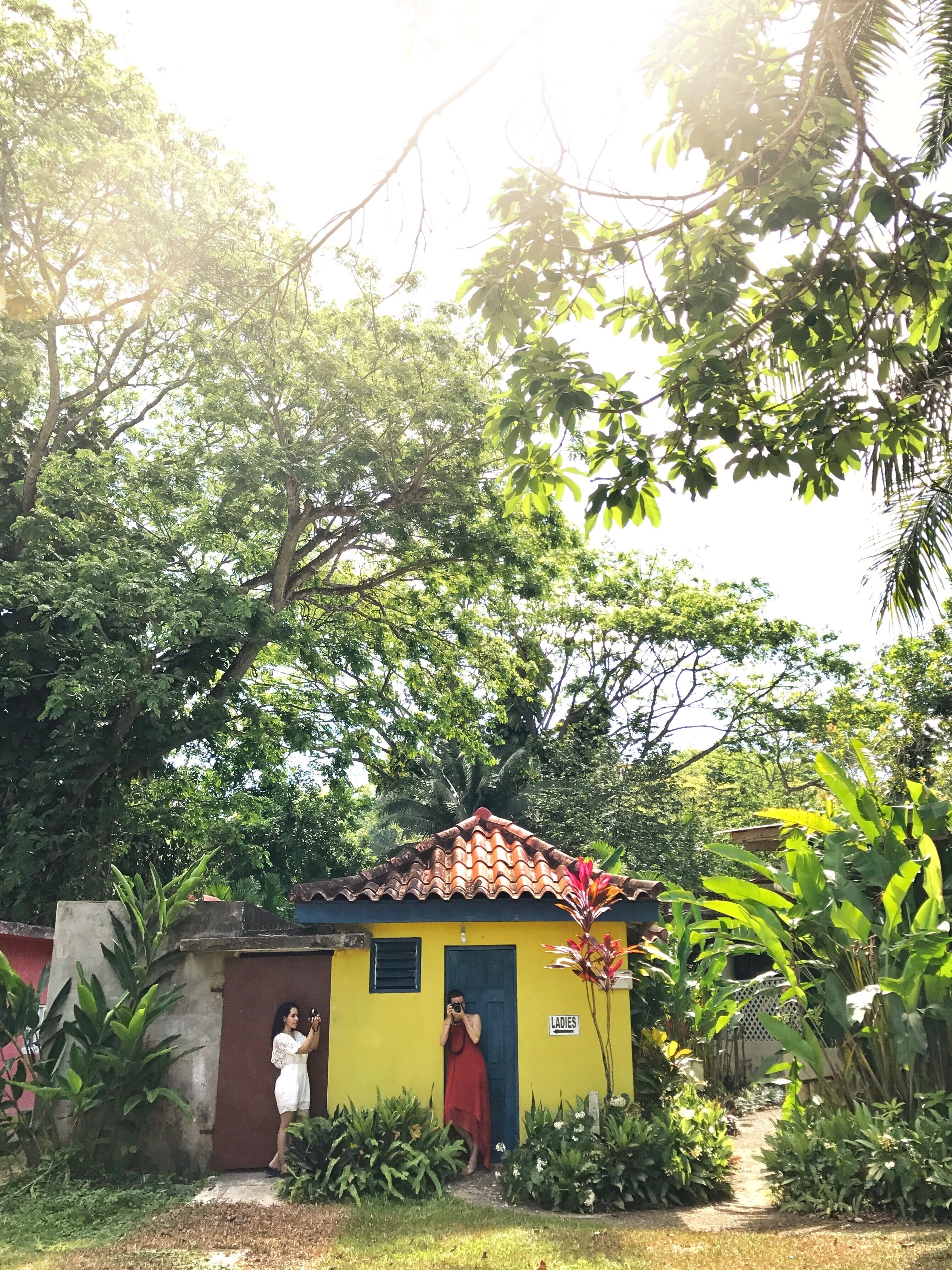 A small yellow house with a red door, surrounded by lush greenery and trees.