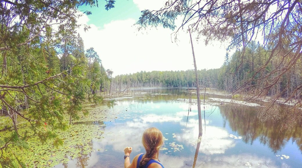 Canoe camping trip near Mt St Marie, Quebec.