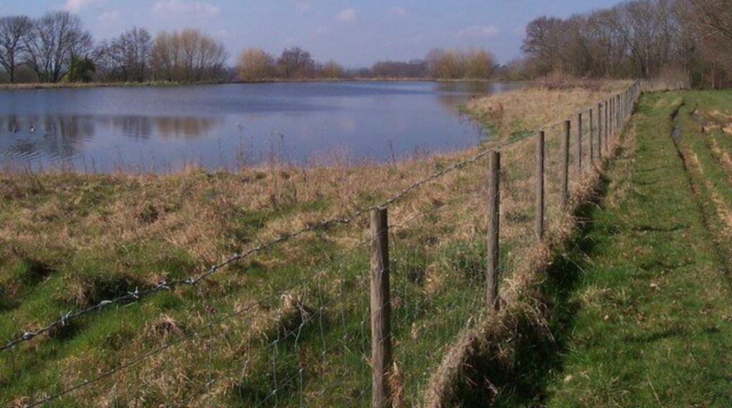 Reservoir in Grove Farm As seen from footpath from Lughorse Lane to West Street, through Grove Farm.