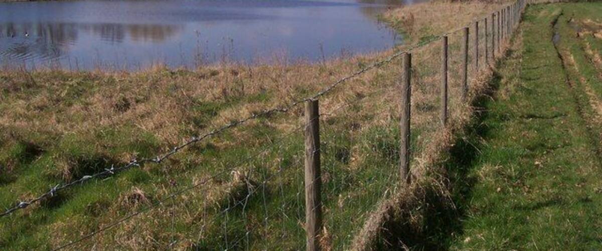 Reservoir in Grove Farm As seen from footpath from Lughorse Lane to West Street, through Grove Farm.