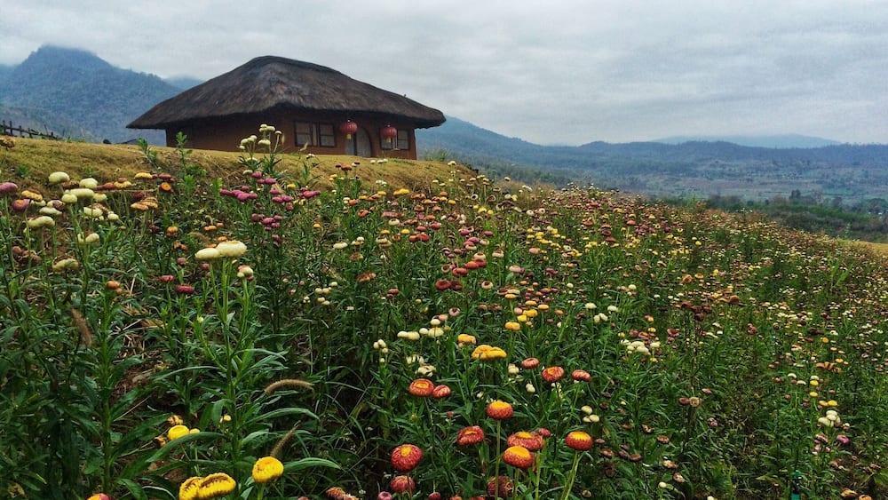Summer in Pai, Mae Hong Son, Thailand #LifeAtExpedia