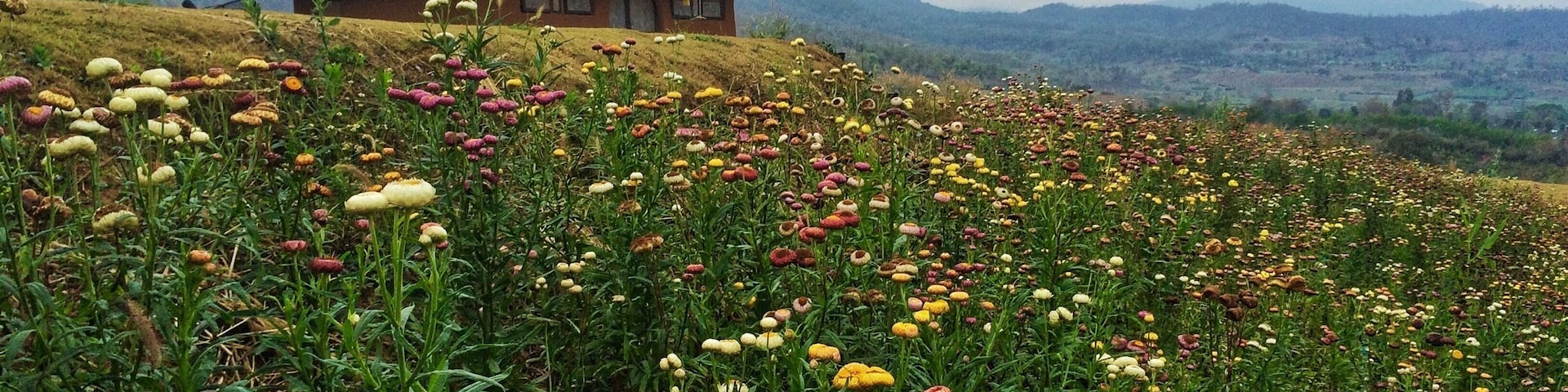 Summer in Pai, Mae Hong Son, Thailand #LifeAtExpedia