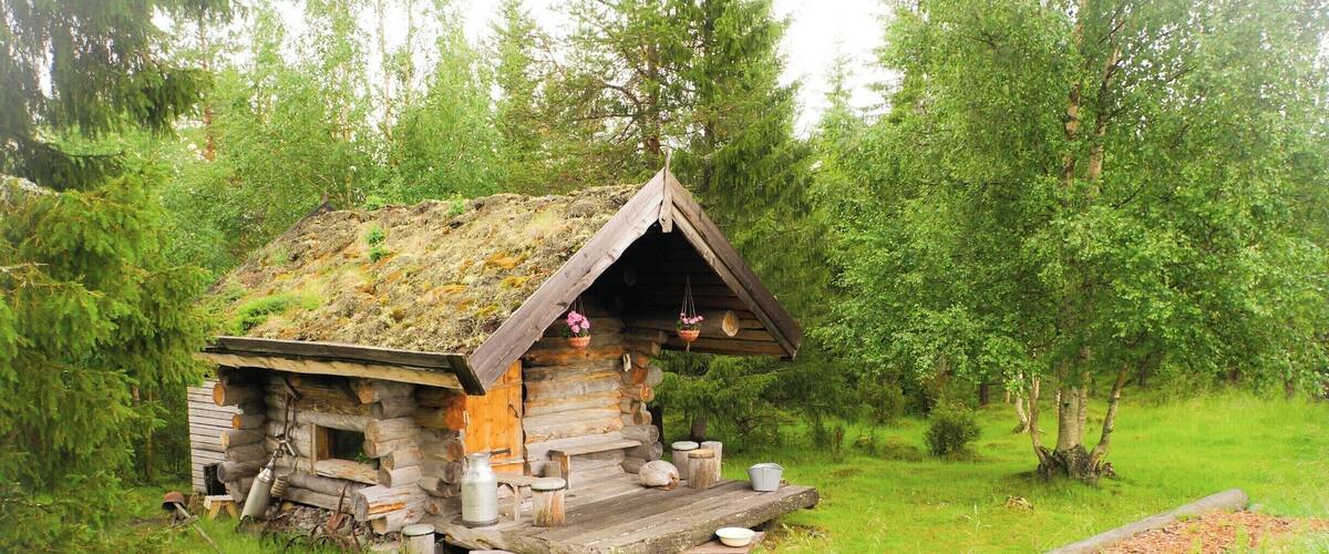 A rustic log cabin with a thatched roof, surrounded by lush greenery and trees.