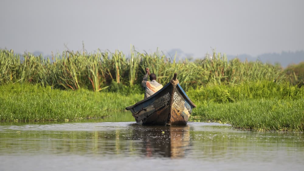 Boat in Mabamba Swamp, Mabamba Swamp, Lake Victoria, Uganda