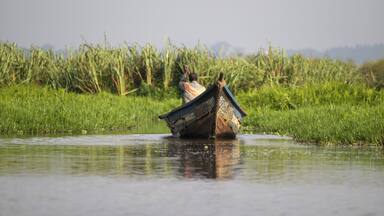 Boat in Mabamba Swamp, Mabamba Swamp, Lake Victoria, Uganda