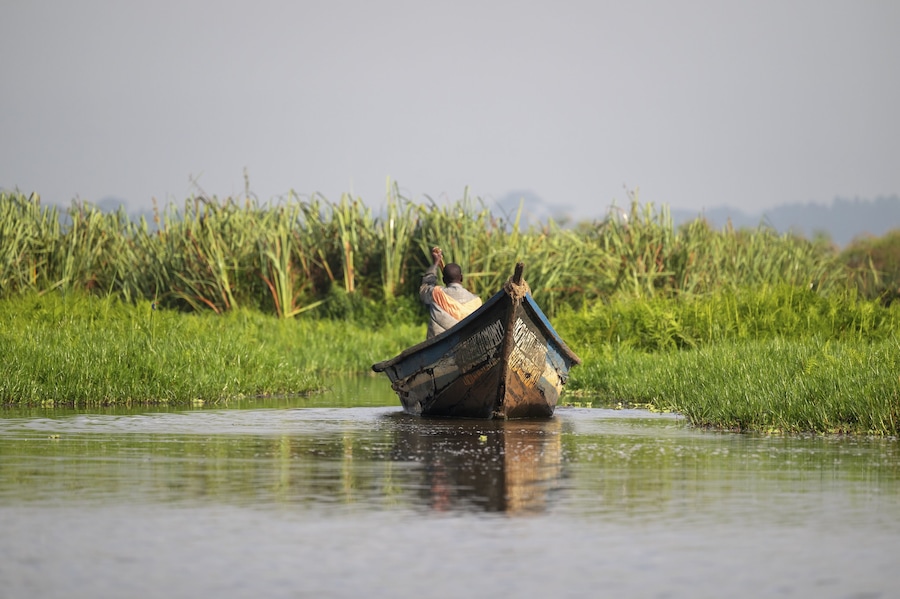 Boat in Mabamba Swamp, Mabamba Swamp, Lake Victoria, Uganda