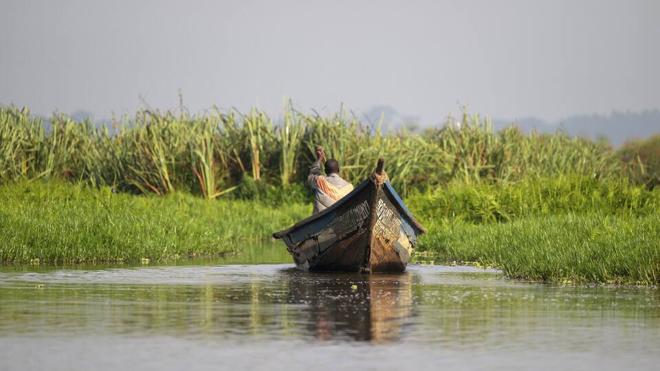 Boat in Mabamba Swamp, Mabamba Swamp, Lake Victoria, Uganda