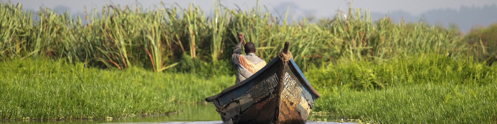 Boat in Mabamba Swamp, Mabamba Swamp, Lake Victoria, Uganda