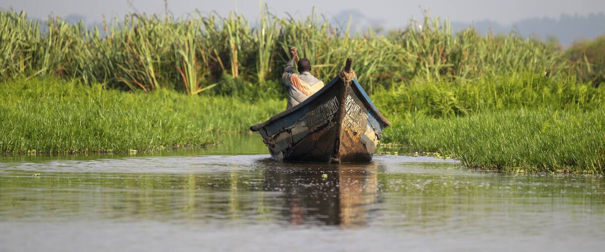 A boat in a shallow water body with tall grass and reeds in the background.